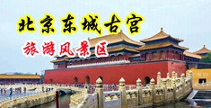 少妇无码精品26p中国北京-东城古宫旅游风景区